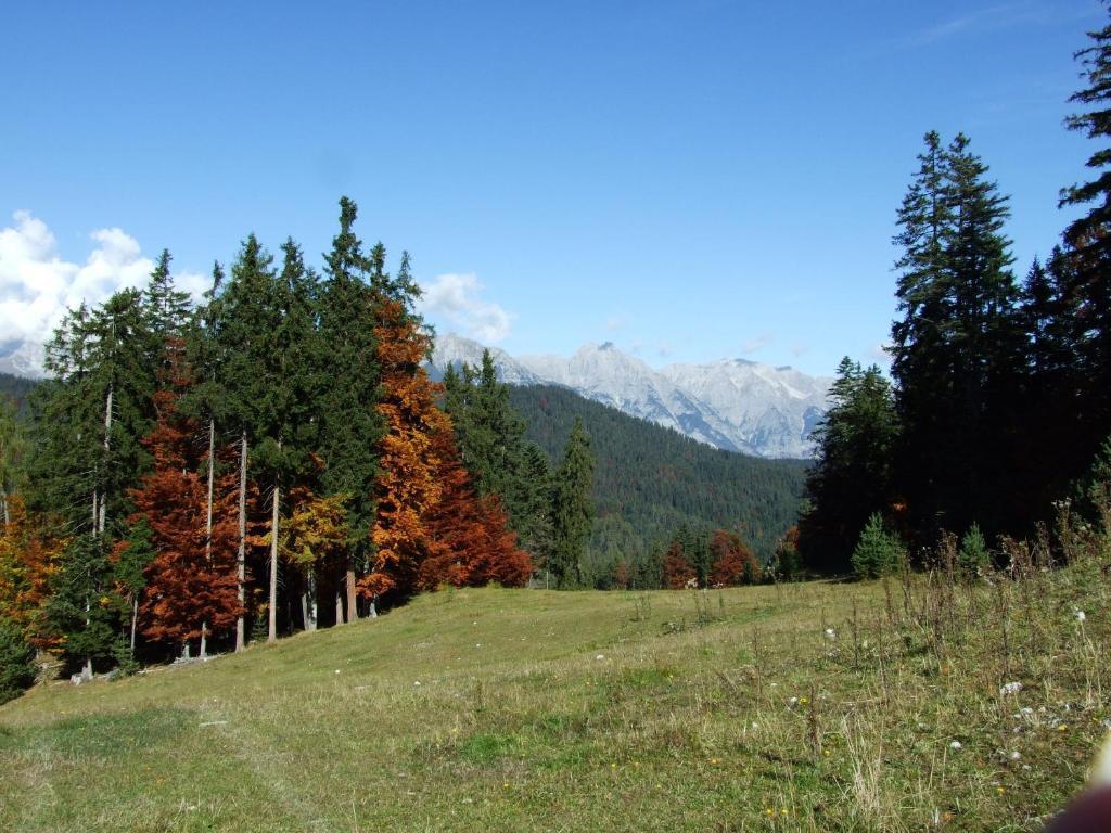 Hotel Menthof Seefeld in Tirol Oda fotoğraf