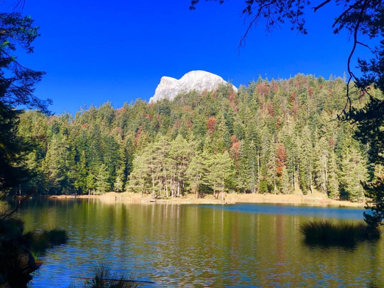 Hotel Menthof Seefeld in Tirol Dış mekan fotoğraf