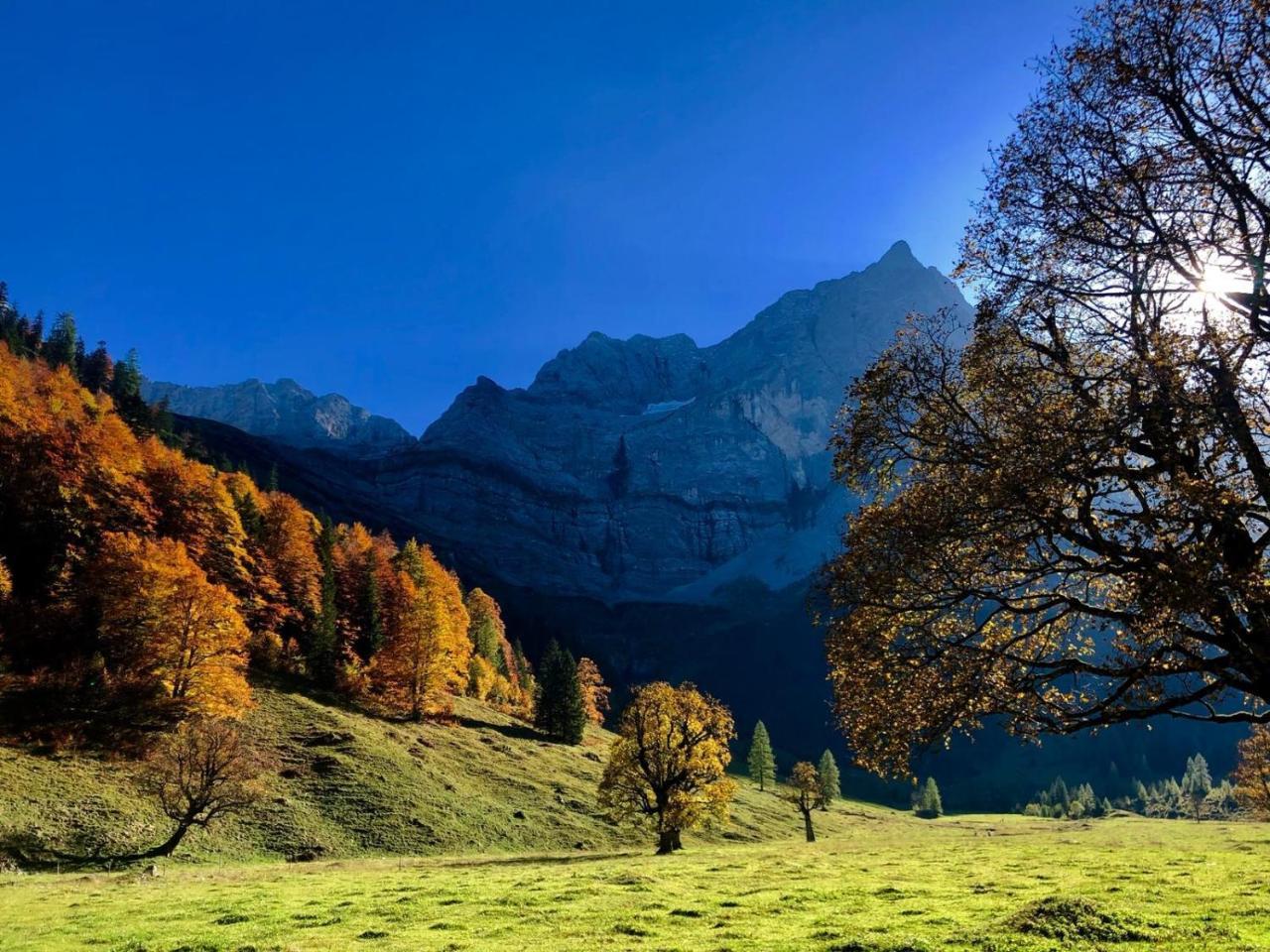Hotel Menthof Seefeld in Tirol Dış mekan fotoğraf