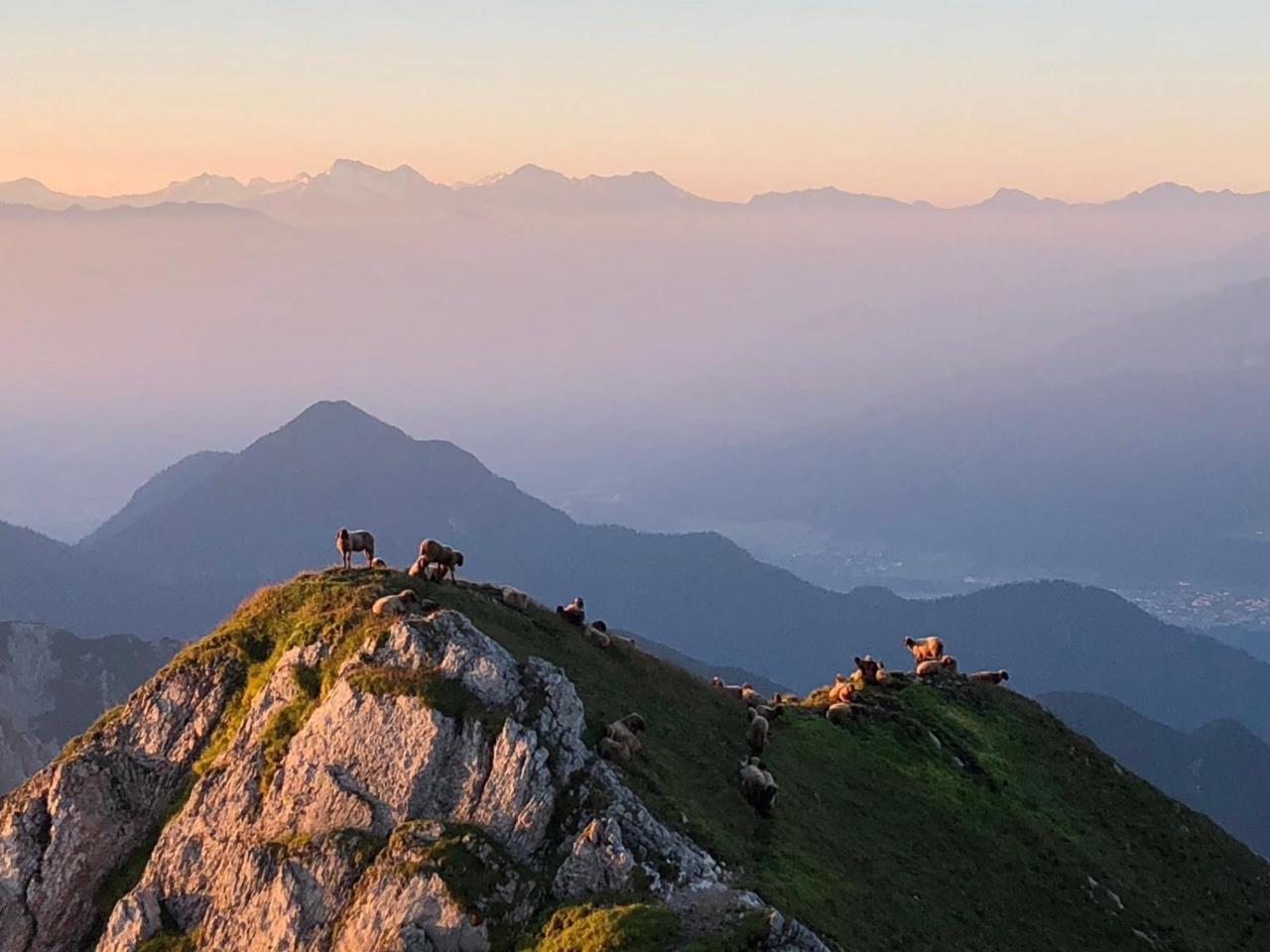 Hotel Menthof Seefeld in Tirol Dış mekan fotoğraf