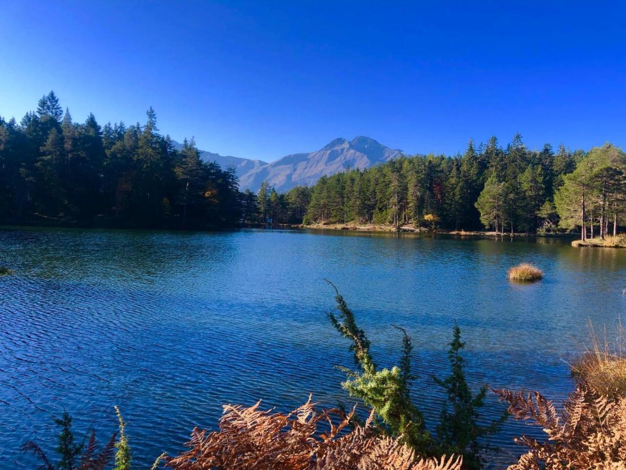 Hotel Menthof Seefeld in Tirol Dış mekan fotoğraf