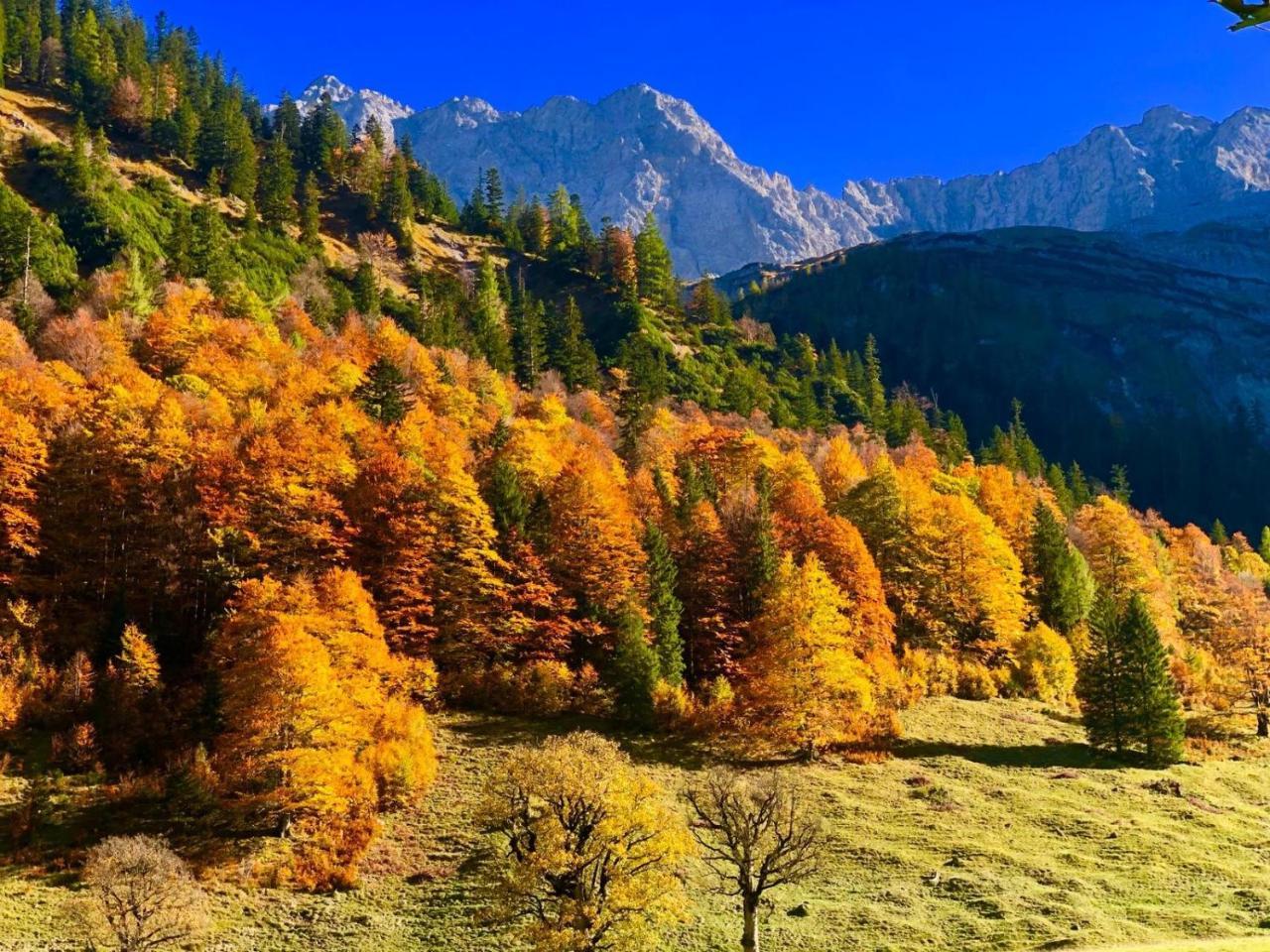 Hotel Menthof Seefeld in Tirol Dış mekan fotoğraf