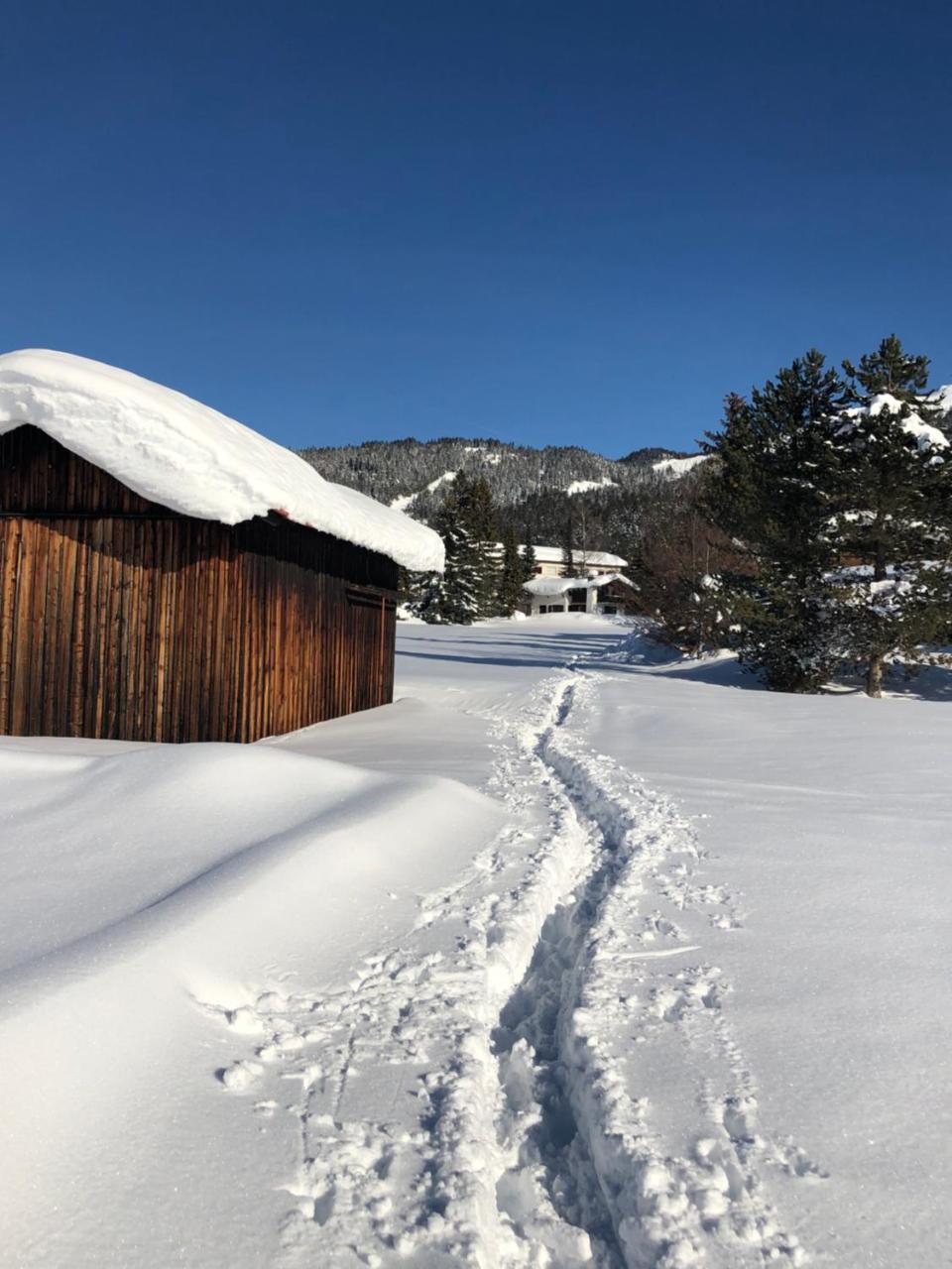 Hotel Menthof Seefeld in Tirol Dış mekan fotoğraf