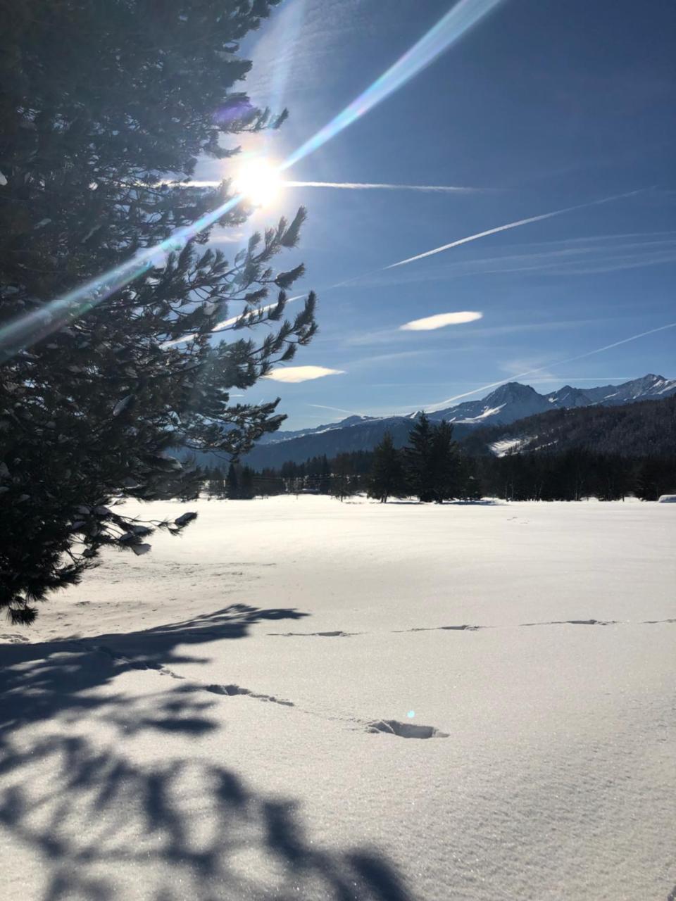 Hotel Menthof Seefeld in Tirol Dış mekan fotoğraf